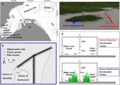 Estimating Waves and Currents at the Saltmarsh Edge Using Acoustic Doppler Velocimeter Data